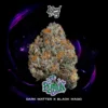 love potion strain