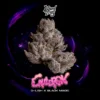 cauldron strain