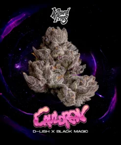 cauldron strain