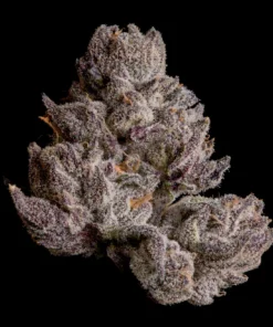 cauldron strain