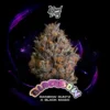 black bow strain