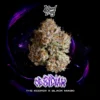 Obsidian strain