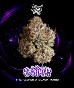 Obsidian strain