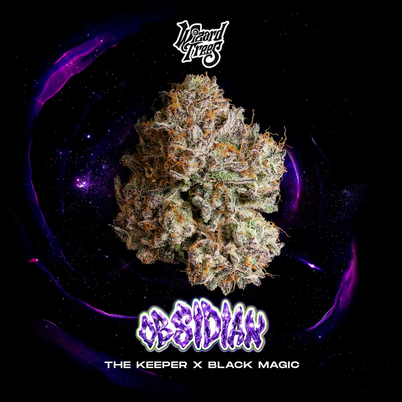 Obsidian strain