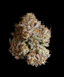 Obsidian strain