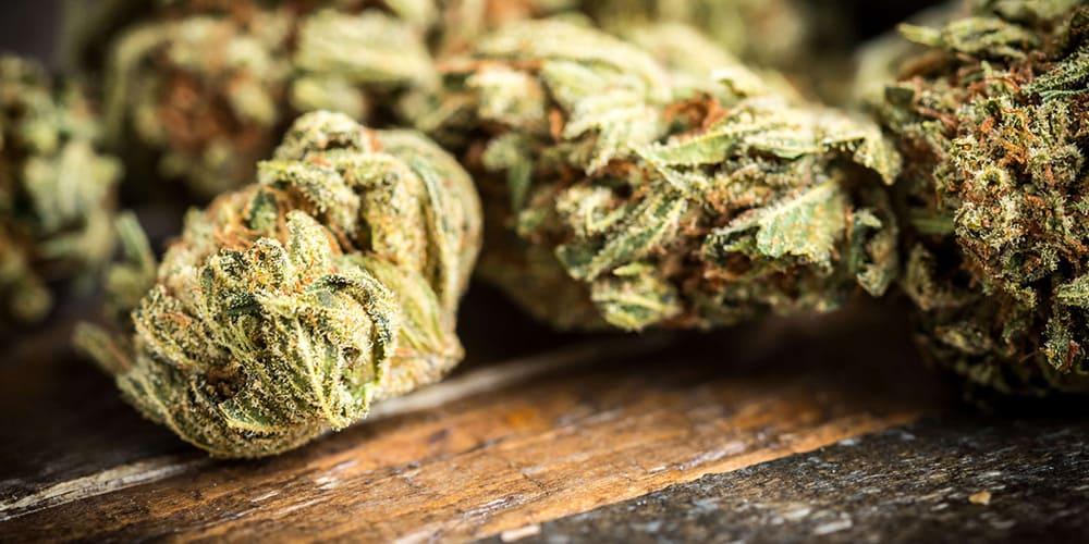 What is the strongest weed?